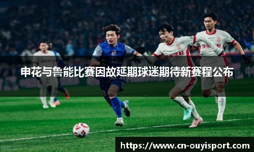申花与鲁能比赛因故延期球迷期待新赛程公布